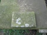image of grave number 557424